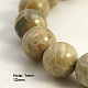 Chrysanthème naturel perles pierre / fossiles de corail brins G-D135-12mm-01-1