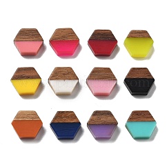 Cabujones de resina y nogal, hexágono, color mezclado, 10x11.5x3mm
