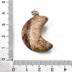 Естественного изображения яшмы подвески&nbsp;G-F820-02F