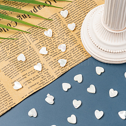 Бусины из натуральных трохоидных/трохус ракушек SHEL-CJ0001-21