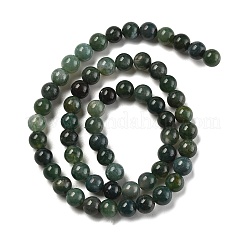 Натуральный зеленый мох камень круглые бортовые нити G-P070-49-6mm