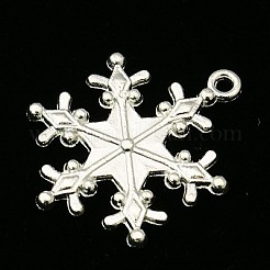 Aluminium Anhänger & Charms&nbsp;PALLOY-B715-NFS