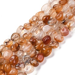 Натуральный красный агат бисер нитей&nbsp;LS-G-G146-A25-01