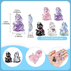 10шт 5 стиля прозрачные подвески из смолы&nbsp;RESI-FS0001-92