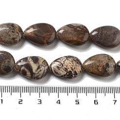 Природные богатства каменные бусины нити G-P528-L04-01