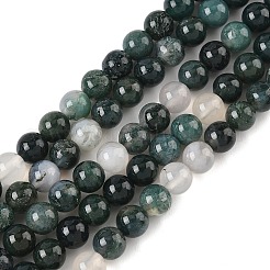 Природные моховой агат бисер нитей&nbsp;X-G-L470-31-6mm
