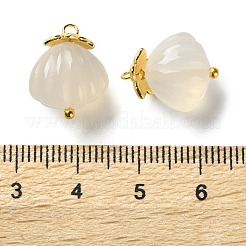 Подвески в форме ракушек из натурального агата&nbsp;G-G179-04