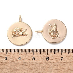 Латунные подвески KK-C079-02G