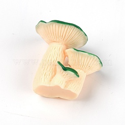 Смолы украшения&nbsp;DJEW-WH0011-57