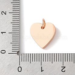 Anhänger aus chirurgischem Edelstahl 316&nbsp;LS-STAS-K178-05RG