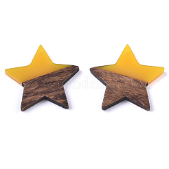 Подвески из смолы и ореха&nbsp;RESI-T023-23