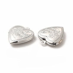 Подвески латуни медальон&nbsp;ZIRC-M120-01P