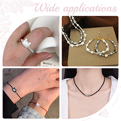 8 шт. 2 вида бусин из натуральной белой ракушки и натуральной черной ракушки-губы&nbsp;SSHEL-HY0001-03