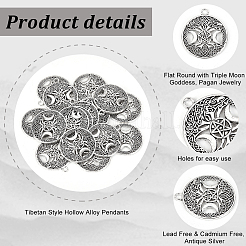 Тибетский стиль полые литые подвески&nbsp;TIBEP-PH0001-53