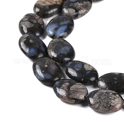 Fili di perline di glaucofane naturali&nbsp;G-C141-D01-02