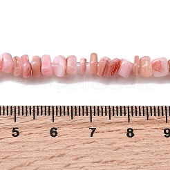 Бусины из натуральных пресноводных ракушек&nbsp;SHEL-B003-01N