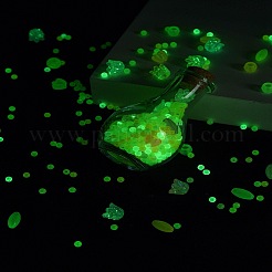 Наборы для самостоятельного изготовления бутылок желаний из светящихся акриловых бусин&nbsp;DIY-FS0007-58