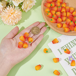 Украшения из смоляного апельсина&nbsp;DJEW-ME0001-03B