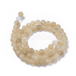 Perles café pastèque en verre de pierre brins&nbsp;G-D687-8mm
