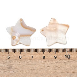 Звездочный пресноводных оболочки подвески&nbsp;SHEL-M005-22