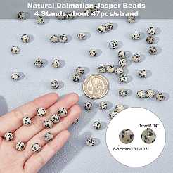 Природные яшмы далматин бисер нитей G-AR0002-21