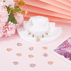 12шт 2 цвета латунные микро проложить кубический цирконий шармы KK-BBC0014-88