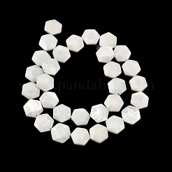 Нити бусин из натуральной белой ракушки SHEL-G022-01