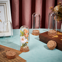 Стеклянный купол 10 шт.&nbsp;AJEW-BC0008-80