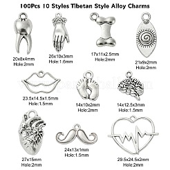 100 шт. 10 стиля подвески из сплава в тибетском стиле&nbsp;TIBEP-CJ0002-51