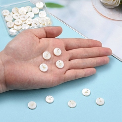 Природные подвески оболочки пресноводных&nbsp;SSHEL-CJ0001-07