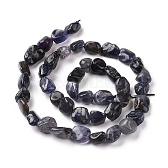 Природные иолит нитей бисера G-A208-09