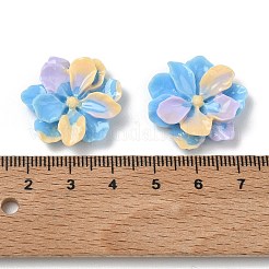 Cabochons di opaco resina&nbsp;RE-F001-02