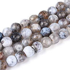 Нити окрашенных и нагретых натуральных агатовых бус с огненным кракелюром&nbsp;G-N359-01A-03