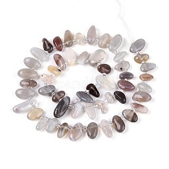 Природные Ботсвана агат бисер нитей&nbsp;G-Z091-A30