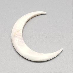 Бусины из натуральных пресноводных ракушек SHEL-S252-01