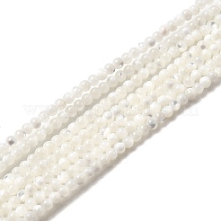 Натуральные белые бусины из ракушек G-N0190-11-2mm