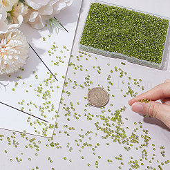 Perle di semi di vetro 100g&nbsp;SEED-SP0001-11C