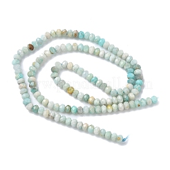 Натуральный цветок амазонитовые бусины пряди&nbsp;G-L651-B02-4x3mm