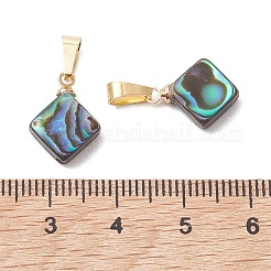 Abalone Muschel / Paua Muschel Anhänger&nbsp;PALLOY-JF05264