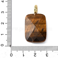 Pendentifs à facettes en oeil de tigre naturel&nbsp;G-B186-01G-08