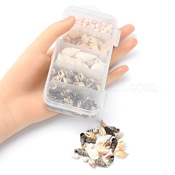 5 стили смешанные бусины из натуральных ракушек SSHEL-YW0001-04