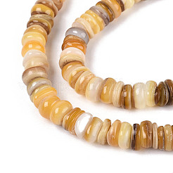 Нити бусин из натуральных пресноводных желтых ракушек SHEL-T020-30