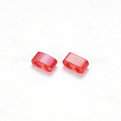 Perles de verre transparentes à peindre à 2 trou fgb&nbsp;X-SEED-S031-M-254