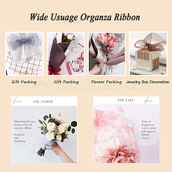 Ruban d'organza&nbsp;RS3mmY039