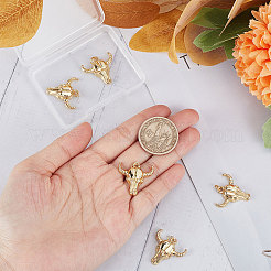 Латунные подвески с покрытием 6шт KK-SC0003-27