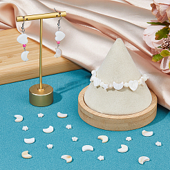 3 нитка 2 стиля натуральные пресноводные ракушки бусины нитки SHEL-HS0001-10