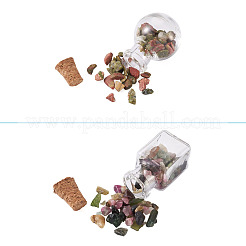 Стеклянные бутылки желая украшения&nbsp;AJEW-TA0017-19