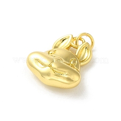 Латунь подвески&nbsp;LS-KK-D095-01B-G