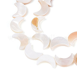 Нити бусин из натуральных пресноводных ракушек SHEL-Q024-015B-01