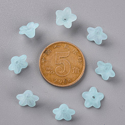 Прозрачные акриловые бусины&nbsp;PL554-11